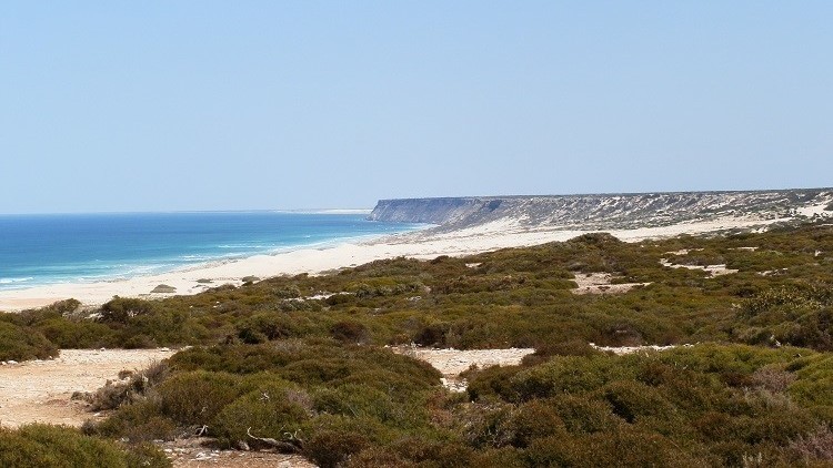 Scenic view of the Bunda Cliffs along the Great Australian Bight, showcasing one of the top things to do in the Nullarbor, with turquoise waters and sandy beaches along the Eyre Highway, South Australia.