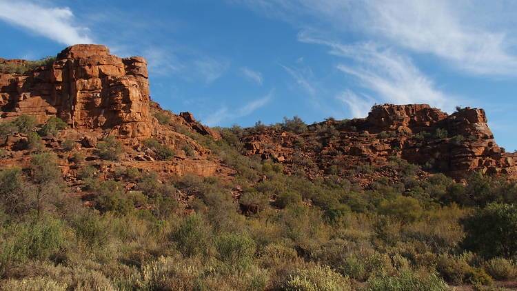 Unique red rock formations with scattered vegetation at Wild Dog Hill, part of the scenic landscapes within Whyalla Conservation Park.