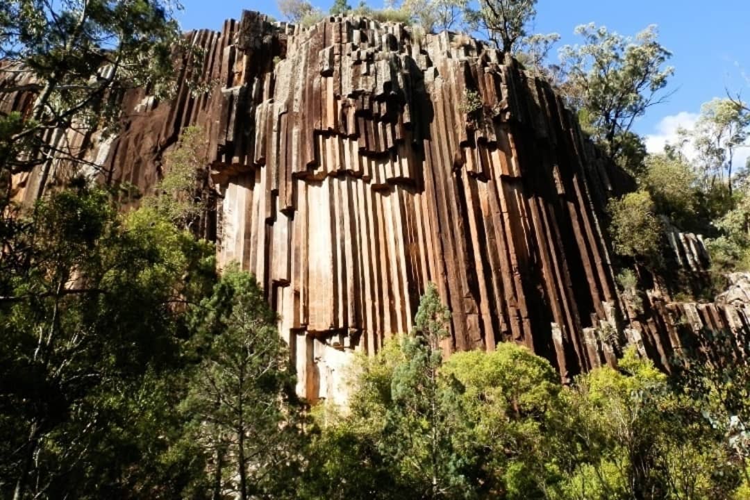 Vertical rock formations resembling organ pipes at Sawn Rocks in Mt Kaputar National Park, NSW, surrounded by lush greenery.