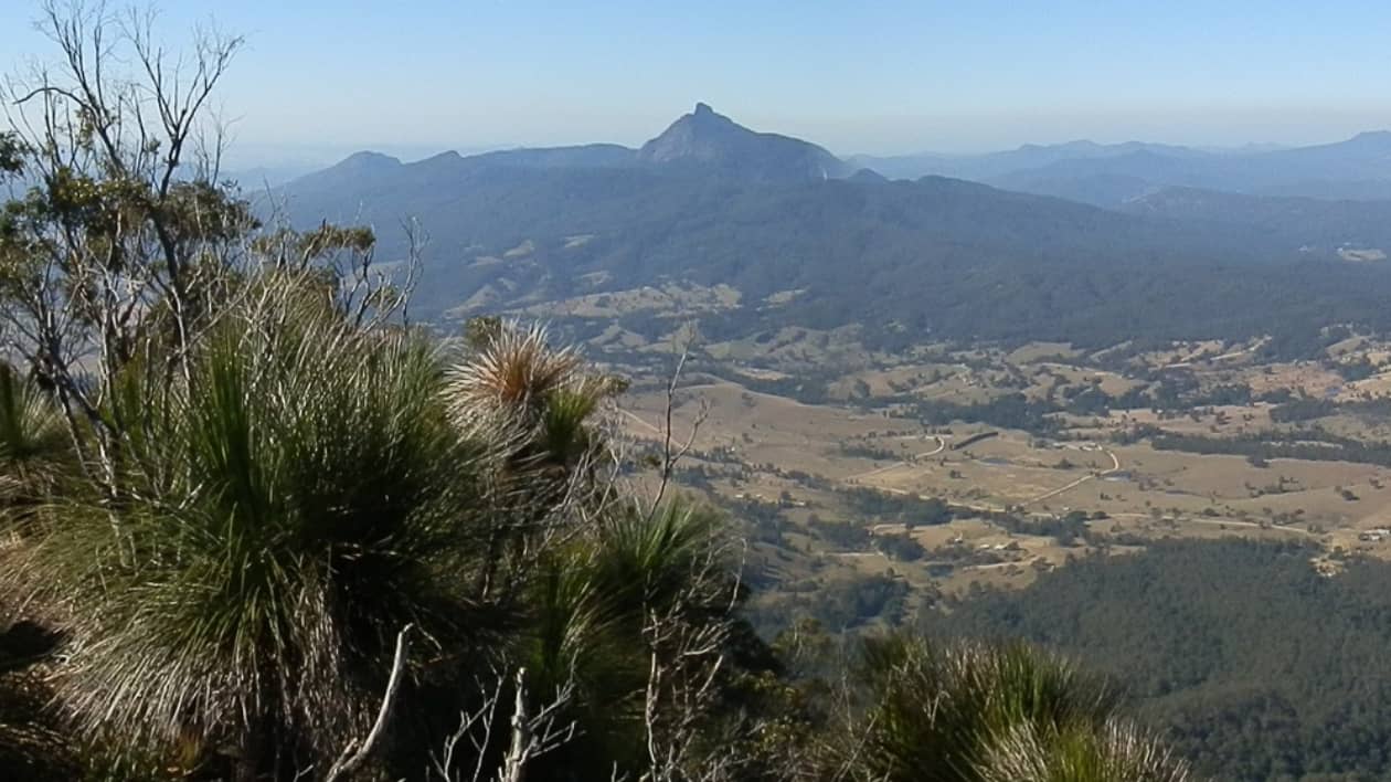 A panoramic view from Pinnacle Lookout in Border Ranges National Park, NSW, showing the lush Tweed Valley with Mount Warning prominently in the distance.