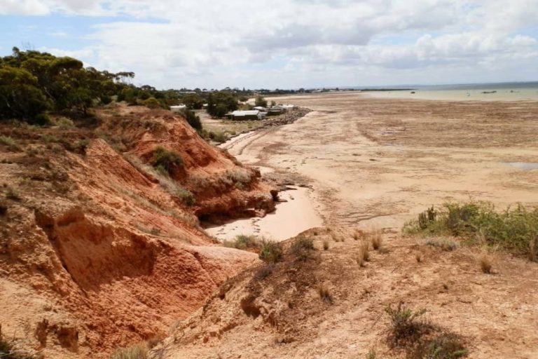 A scenic view of Port Clinton taken from the cliff-top lookout, showcasing red rocky cliffs and a wide sandy expanse during low tide with scattered vegetation and distant structures.