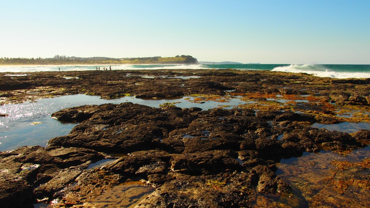 Surf lifesavers with orange rescue boats on the sandy shores of Lighthouse Beach, providing a glimpse of beach activities and surf safety, one of the enjoyable things to do in Ballina NSW.