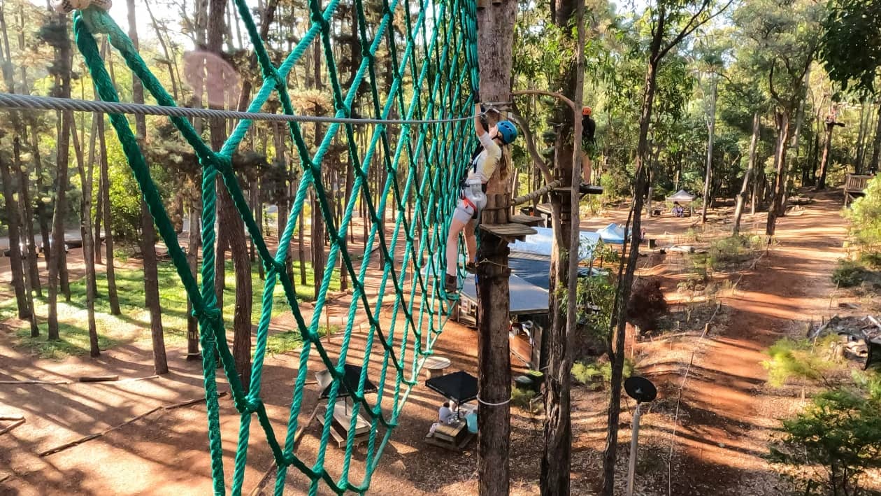 A person wearing a helmet climbs a large green rope net high above the forest floor, engaging in an exhilarating tree-top adventure course—one of the thrilling things to do in Dwellingup for adventure seekers.