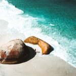 Woman standing between two big boulders in pristine beach, Best tours in Albany to do this year