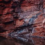 A woman climbs a metal handrail embedded in the cliffside above a still gorge pool, capturing the thrill of adventure during the best time to visit Karijini.