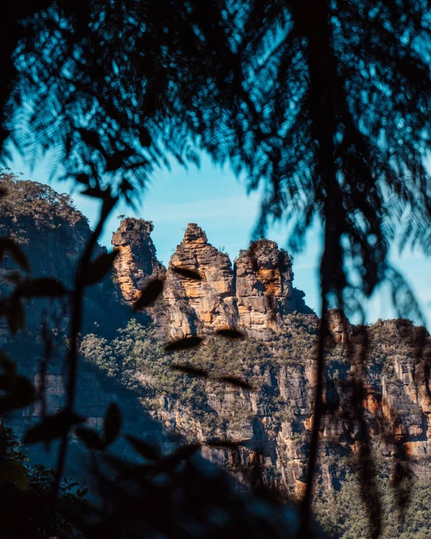 The Three Sisters rock formation in the Blue Mountains seen through silhouetted ferns and leaves, with soft morning light highlighting the sandstone.
