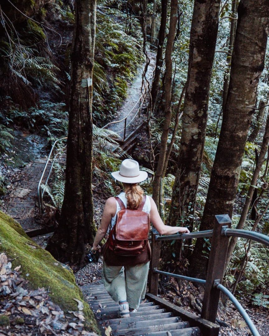 Woman wearing a hat and backpack walking down a wooden staircase with metal handbar, through dense forest along a bushwalking track in the Blue Mountains, on her way to the secret infinity pool in Leura Cascades
