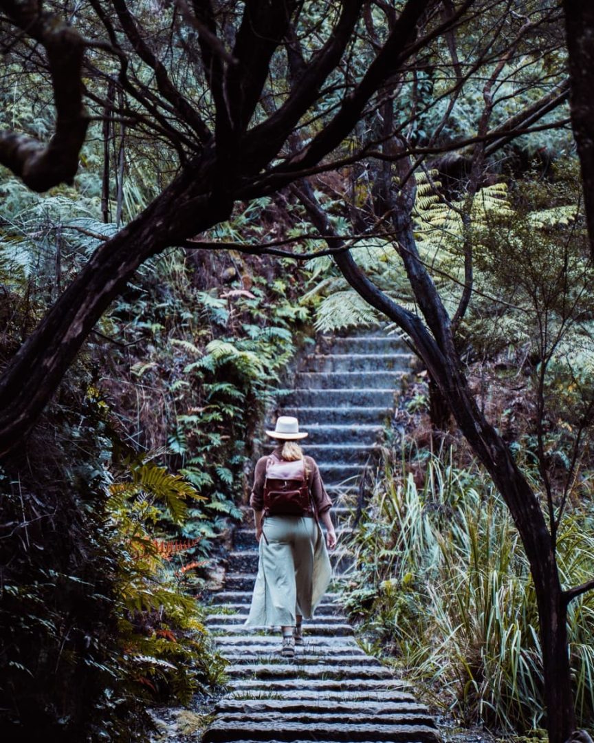 Woman with a backpack and hat walking up mossy stone steps through dense ferns and trees along a shaded bushwalking trail via the secret infinity pool in Leura Cascades, Blue Mountains.