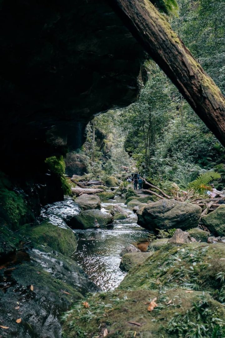 A rocky creek flows beneath a large overhanging cliff with hikers visible in the distance along the Grand Canyon Track in Blue Mountains. Mossy boulders and fallen logs line the water.