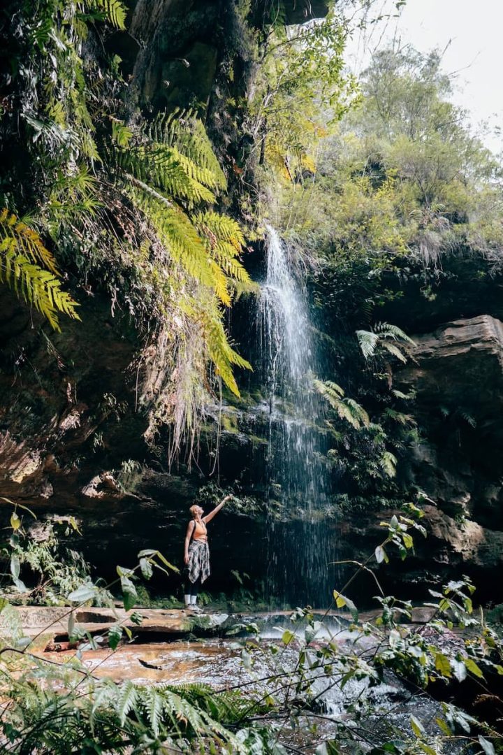 A woman stands on a rock pointing toward a waterfall cascading down a cliff surrounded by ferns along the Grand Canyon Track in Blue Mountains. Sunlight filters through the trees above.