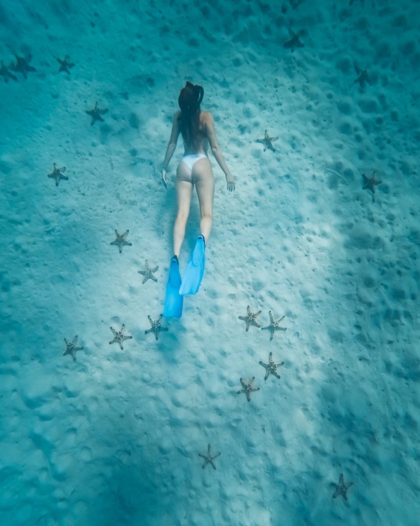 Woman snorkelling over a sandy seabed covered in starfish near El Nido—one of the most peaceful and photogenic things to do near El Nido, Philippines.
