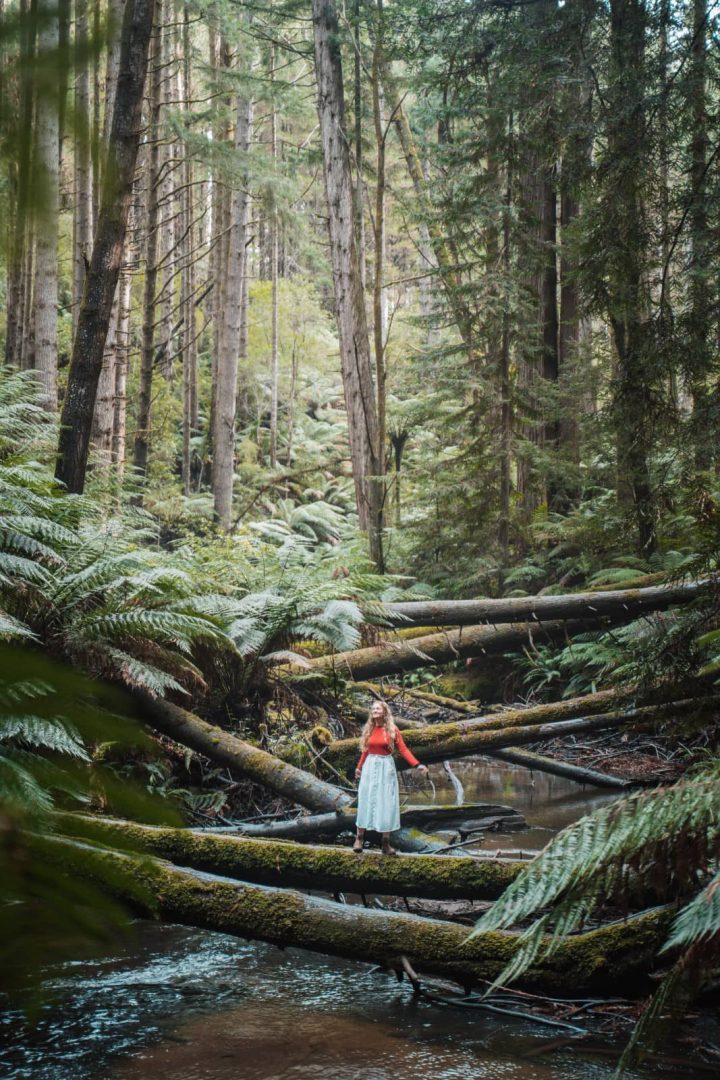 A woman stands on a mossy fallen tree over a stream, surrounded by tall ferns and forest in the Otways, a peaceful detour on a great ocean road itinerary.