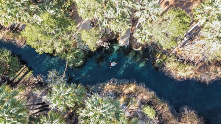 Aerial view of Bitter Springs in the Northern Territory showing a person floating in a narrow turquoise stream surrounded by dense palm trees, a hidden oasis along a Melbourne to Darwin road trip.