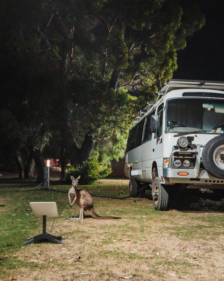 A kangaroo stands beside a campervan at night under tall trees at a campground in South West Australia. Wildlife sightings like this are common during a south west australia road trip 7 days.
