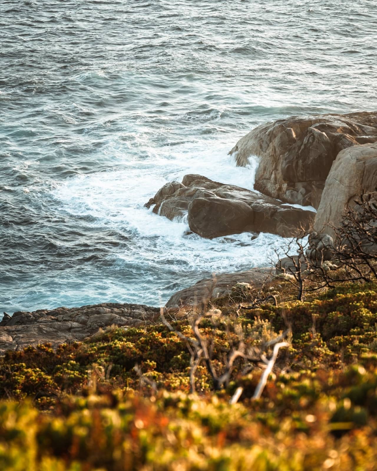 Waves crash against rocky cliffs below windswept coastal vegetation in soft golden light in Augusta, Western Australia. This rugged shoreline typifies the wild beauty along a south west australia road trip 7 days.