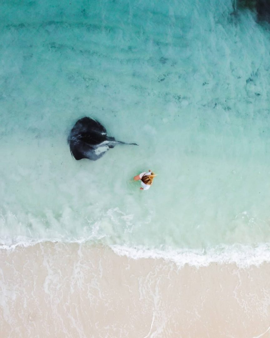 A woman stands in shallow turquoise water beside a large stingray gliding along the shore in Hamelin Bay, Western Australia. Unique encounters like this are a highlight of a south west australia road trip 7 days.