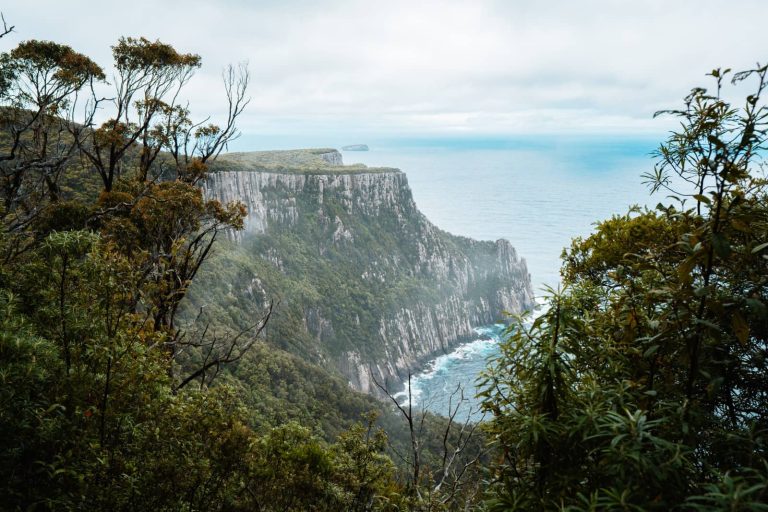 Dramatic sea cliffs covered in dense green forest plunging into the ocean on a cloudy day along the Three Capes Track, part of any Tasmania East Coast Road Trip.