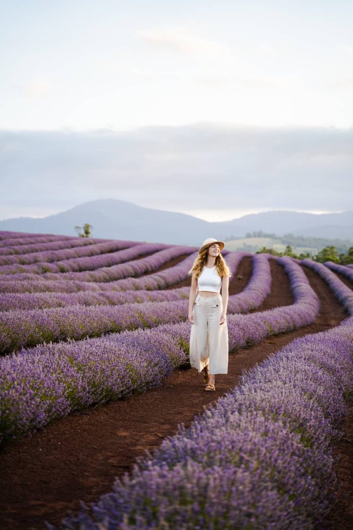 Woman walking through neat rows of blooming purple lavender with distant hills behind, at Bridestowe Lavender Estate, a fragrant and scenic highlight among things to do in Tasmania.