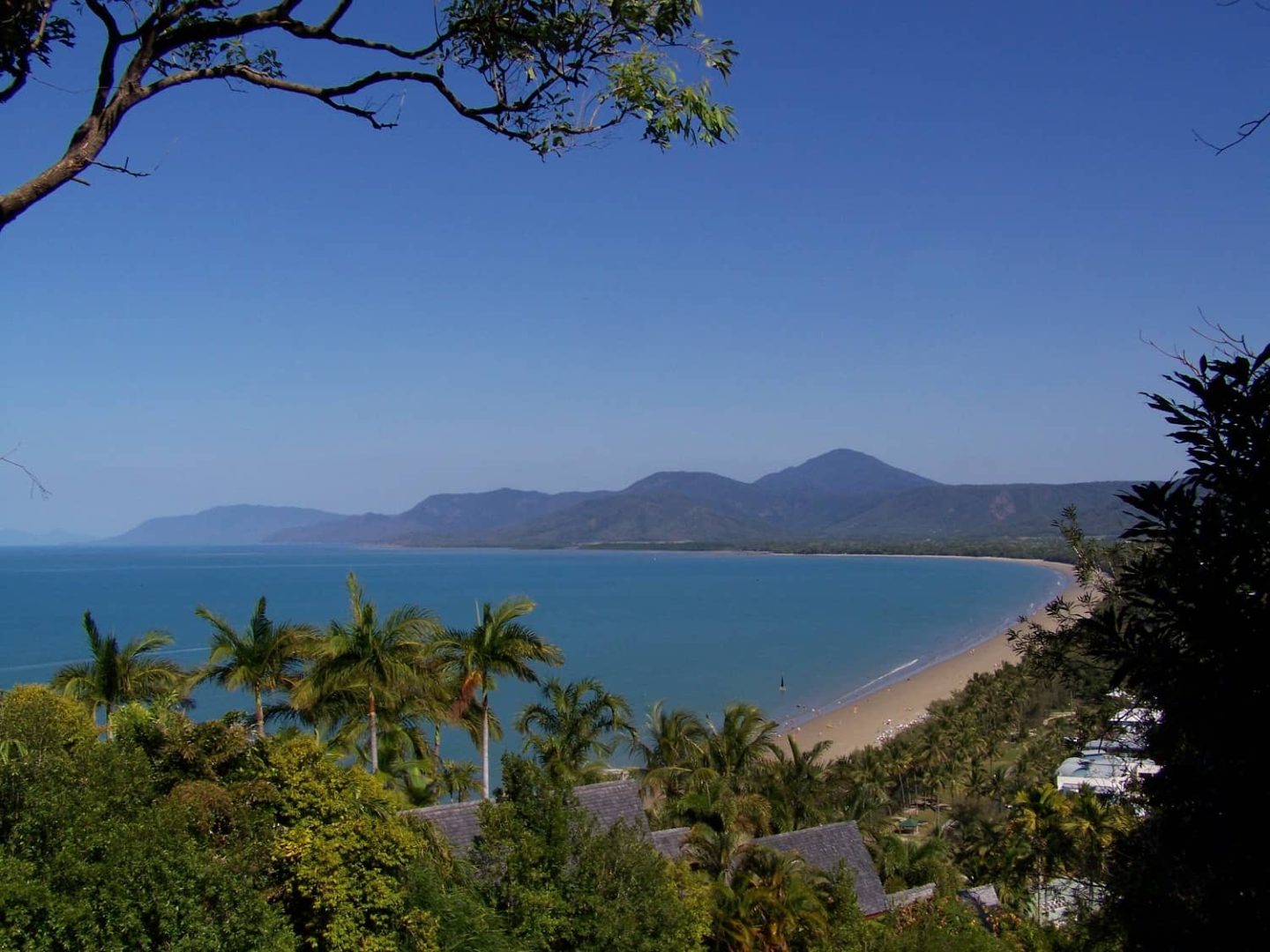 Elevated view of Port Douglas in Queensland showing a curved sandy beach lined with palm trees and calm blue ocean stretching toward distant green mountains under a clear sky. Rooftops and lush tropical foliage fill the foreground, framing the coastline from above.