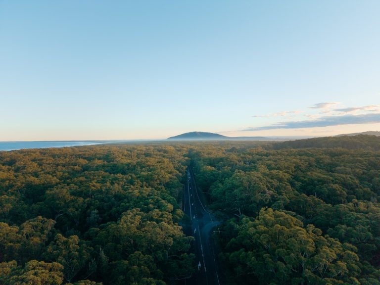 7 South Coast NSW Road Trips You’ll Wish You Did Sooner (Winter)