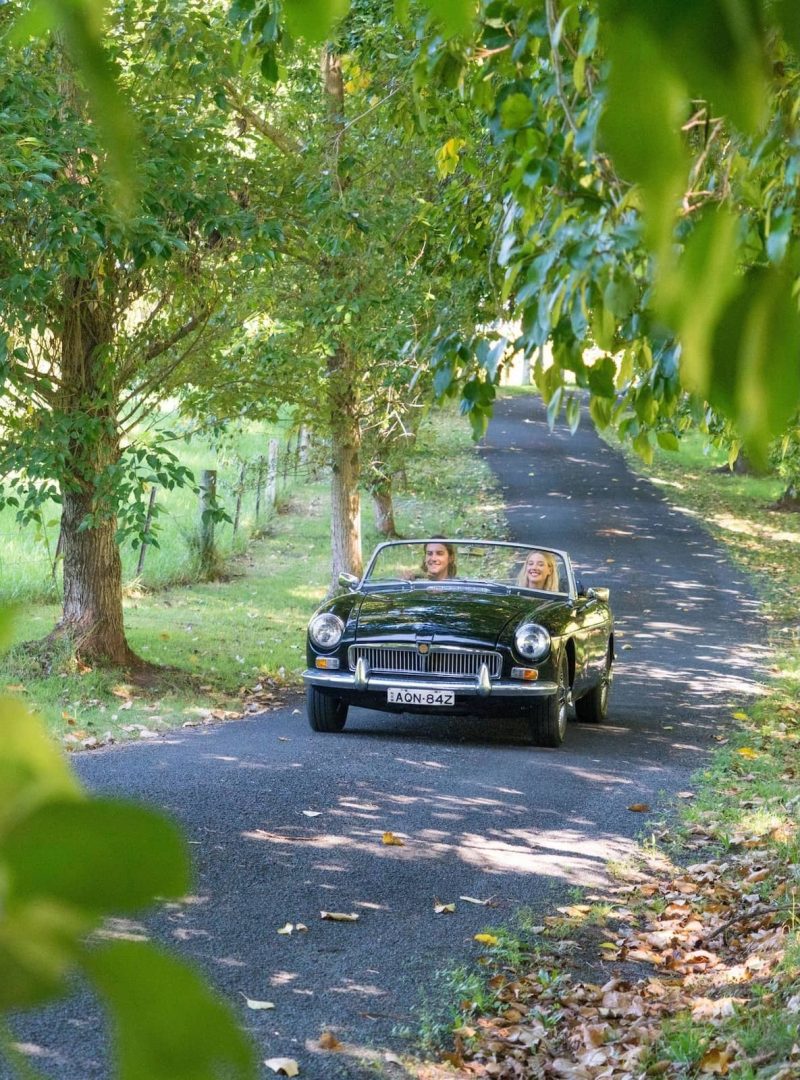 A couple drives a vintage green convertible along a narrow tree-lined country lane in Kangaroo Valley, NSW.