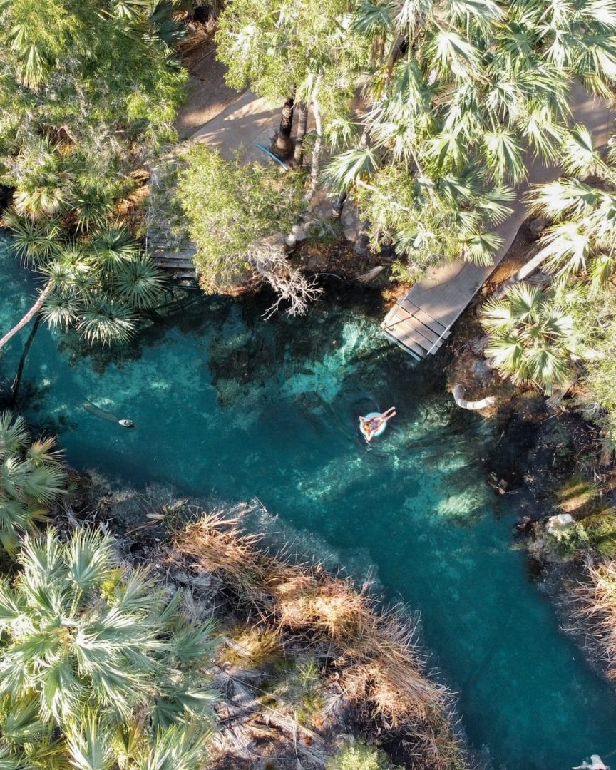 A person floats in the vivid turquoise water of Bitter Springs surrounded by dense palms and tropical vegetation. An aerial view shows the narrow thermal spring winding through the forest.