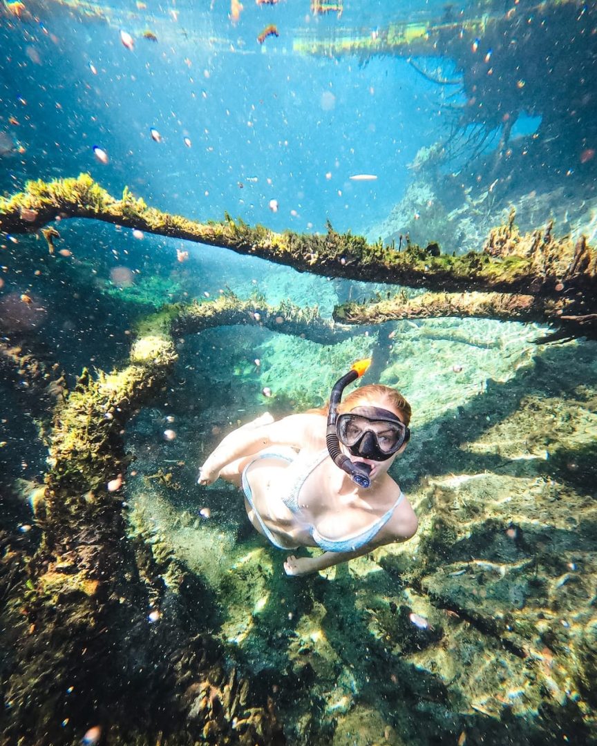A woman snorkels underwater among submerged branches at Bitter Springs. The exceptionally clear water reveals the rocky bottom and vegetation beneath the thermal spring