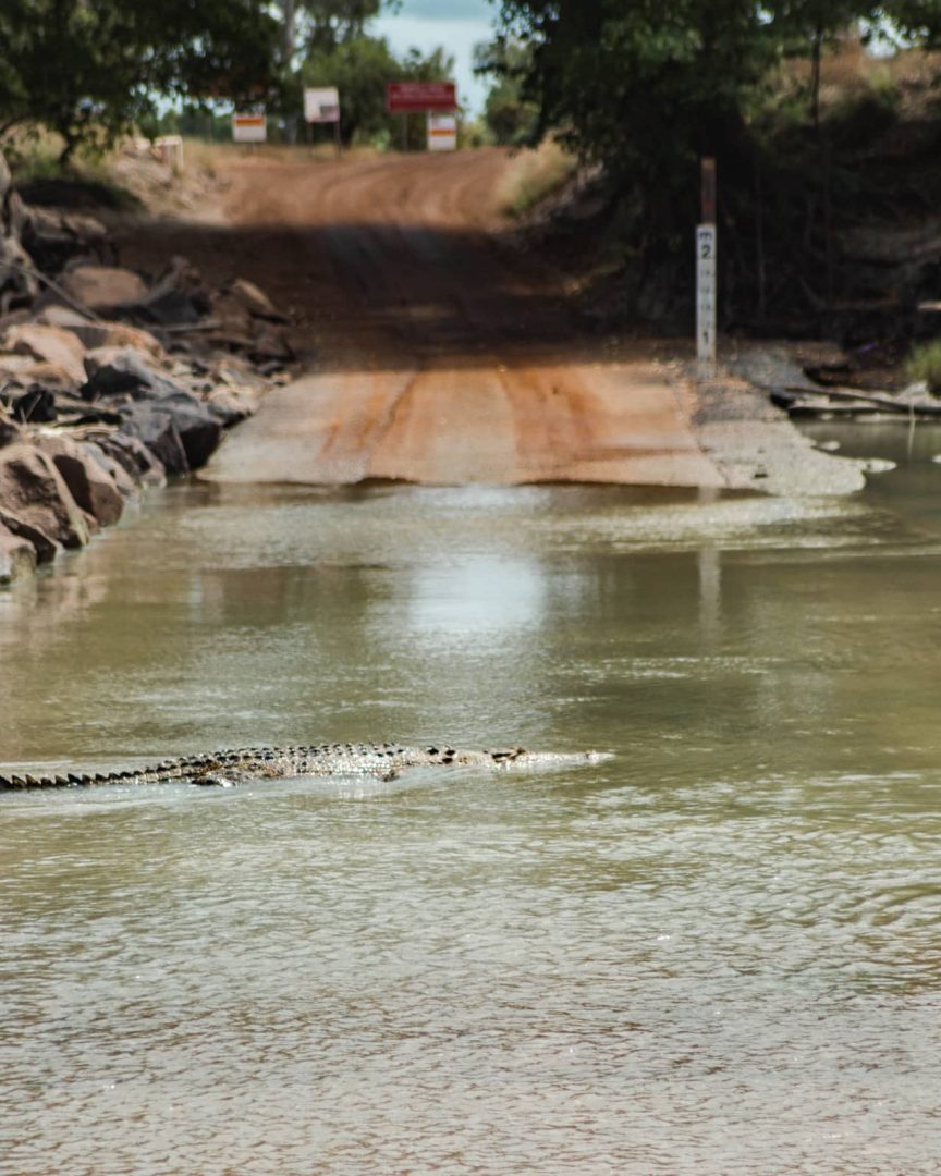 A crocodile glides through shallow water beside the rocky bank near Cahills Crossing in Kakadu National Park. Only its head and ridged back rise above the river surface.