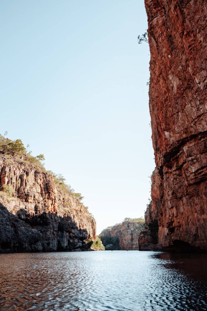 Katherine Gorge stretches between steep red and grey sandstone cliffs under a clear blue sky. Calm water runs through the vast canyon in Nitmiluk National Park.