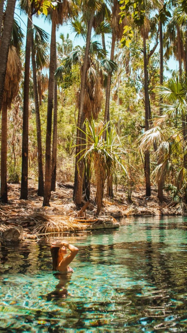 A woman relaxes in the clear water at Mataranka Hot Springs with tall palms lining the bank behind her. The tropical setting surrounds the natural thermal pool.