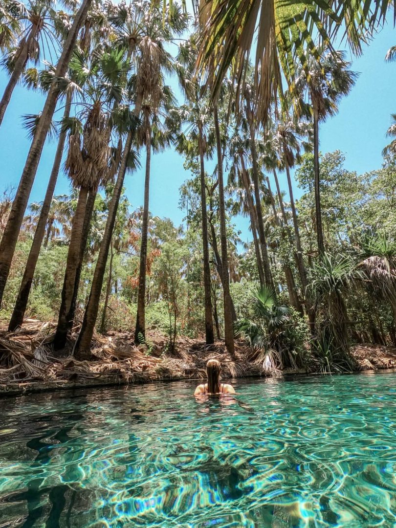 A woman stands waist deep in the clear turquoise water at Mataranka Hot Springs. Tall palms tower above the tropical swimming spot in Elsey National Park.