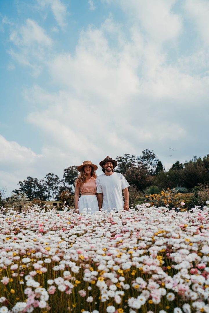 A couple standing in a field of white and pink paper daisies at the Australian Botanic Garden Mount Annan.